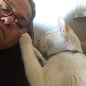 Meet your Posher, Bertha